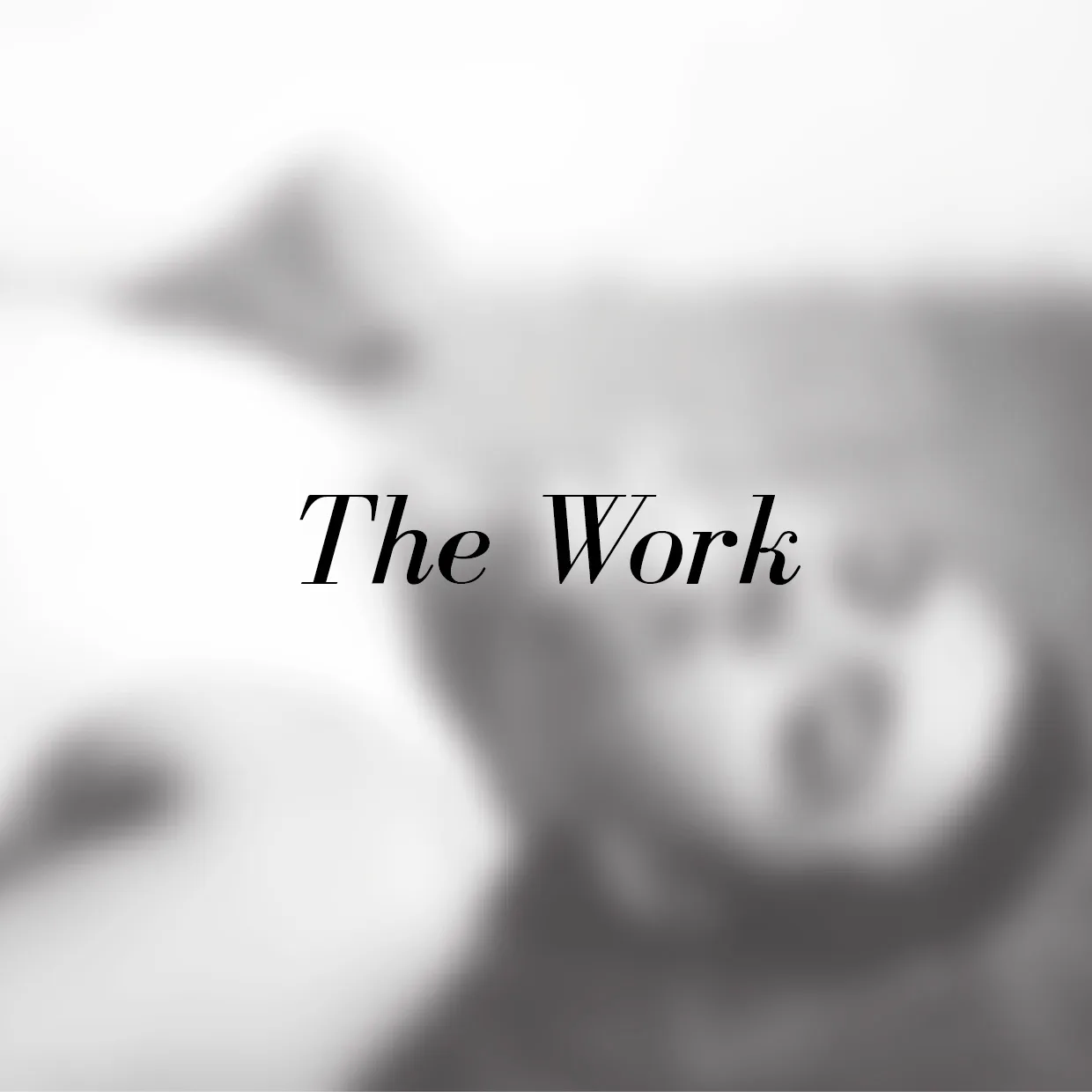 Deltorro Re-Brand visual 7