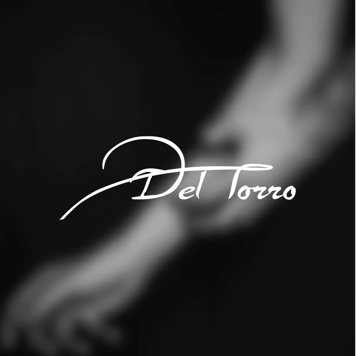 Deltorro Re-Brand visual 10