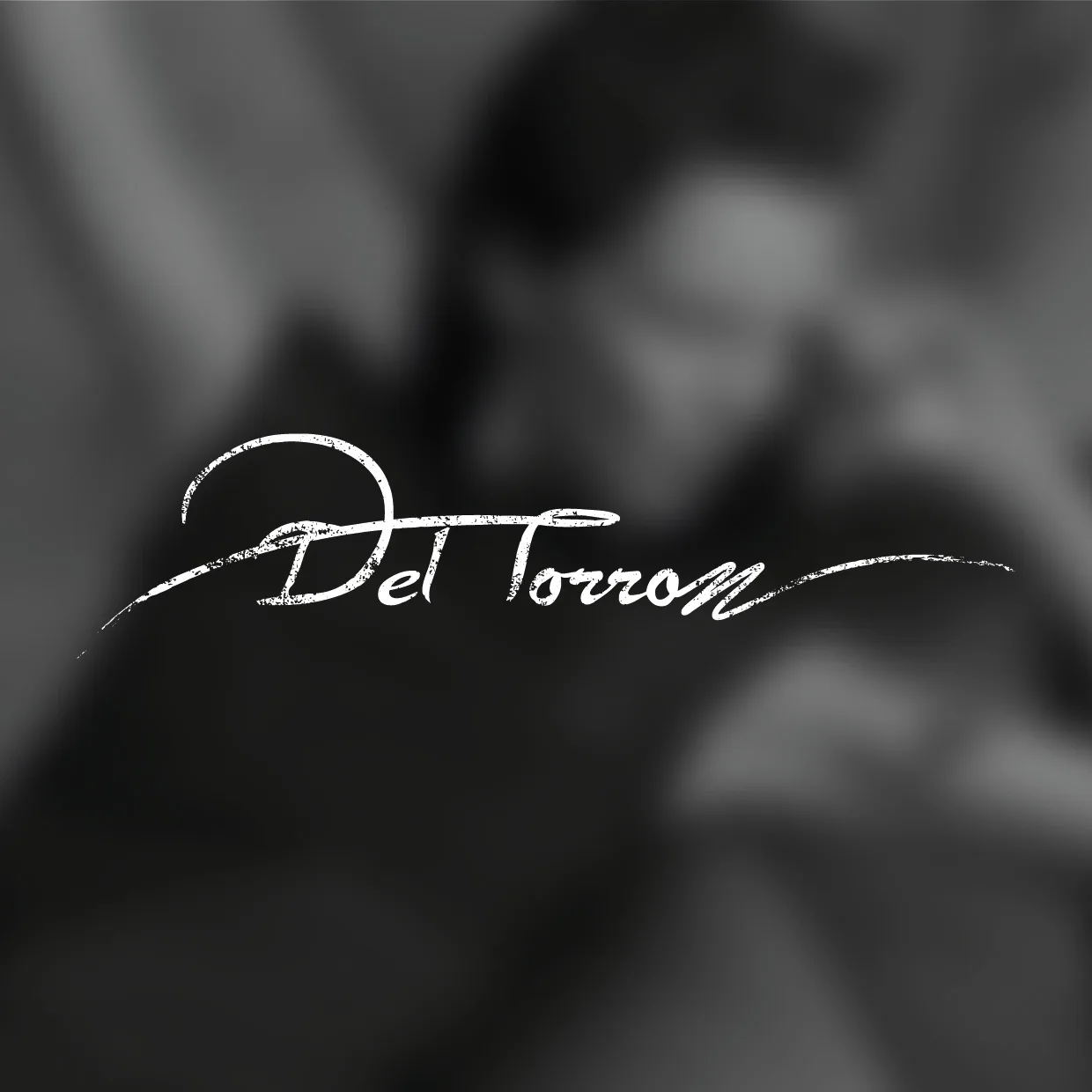 Deltorro Re-Brand visual 12